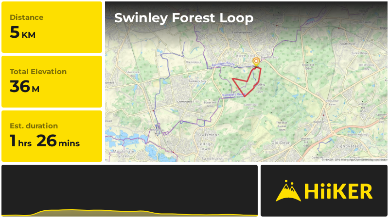 Swinley Forest Loop Bracknell Forest England