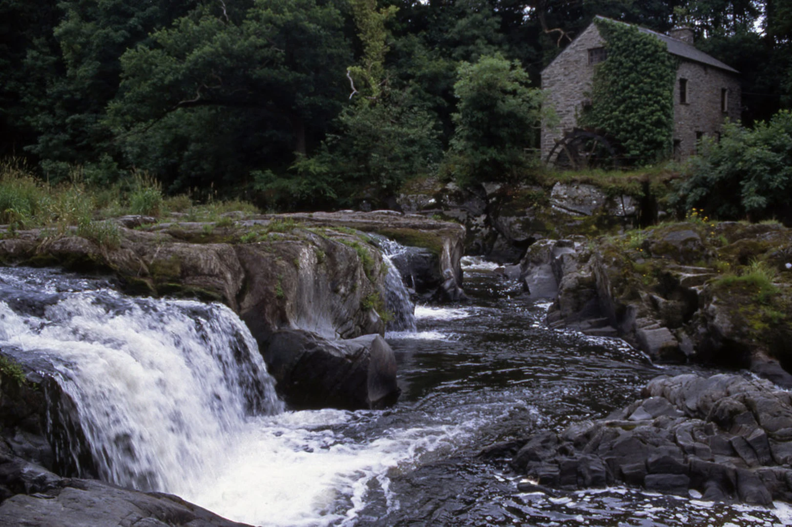 An image depicting the trail Cenarth Falls Walk and its surrounding area.