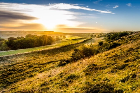 An image depicting the trail South West Coast Path - Charmouth to Abbotsbury and its surrounding area.