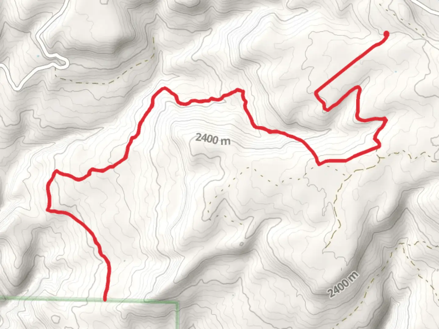 An image depicting the trail Bucktail Creek Trail and its surrounding area.