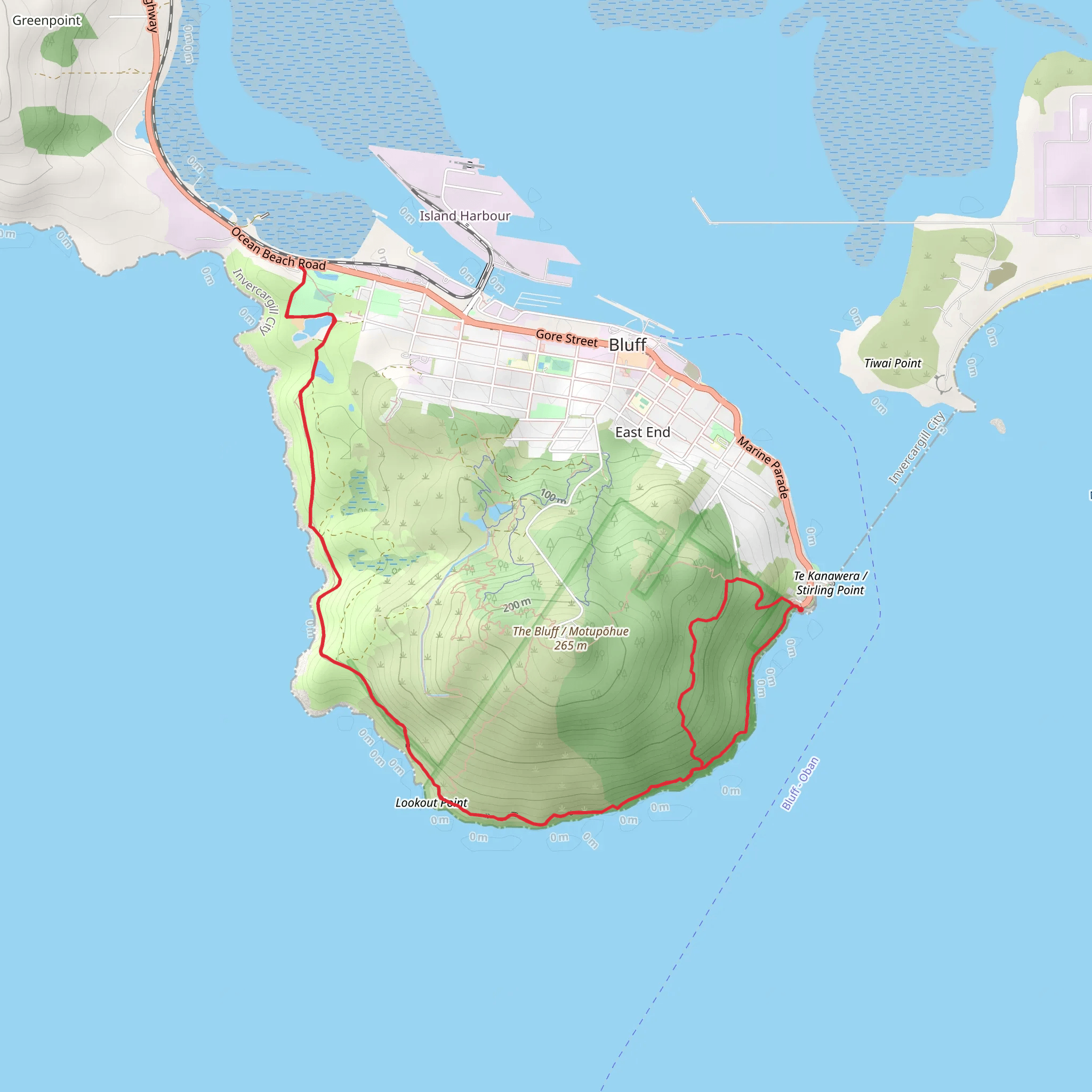 Foveaux Walkway mobile static map