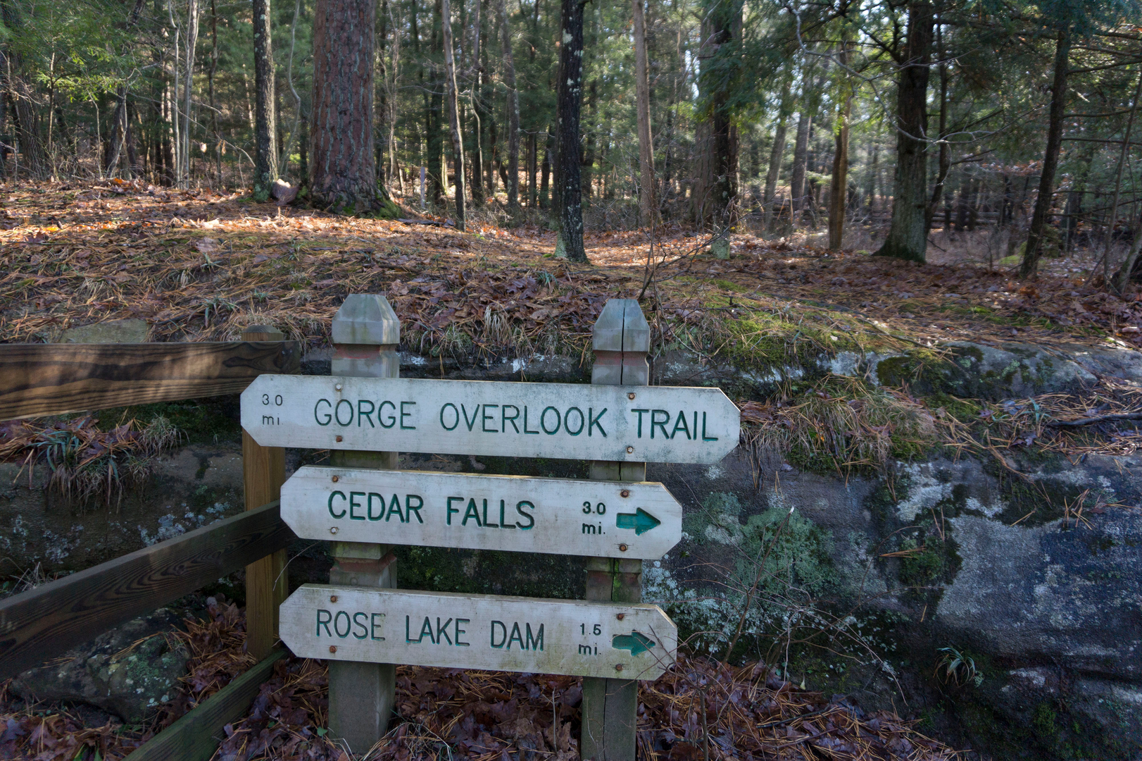 An image depicting the trail Logan Backpacking Trail and its surrounding area.