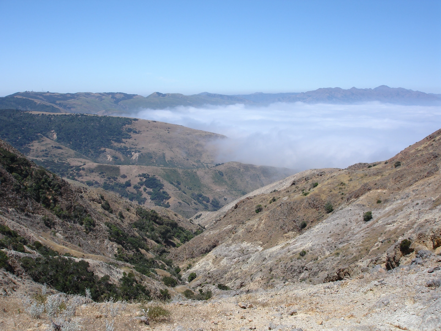 An image depicting the trail Montanon Canyon Trail and its surrounding area.