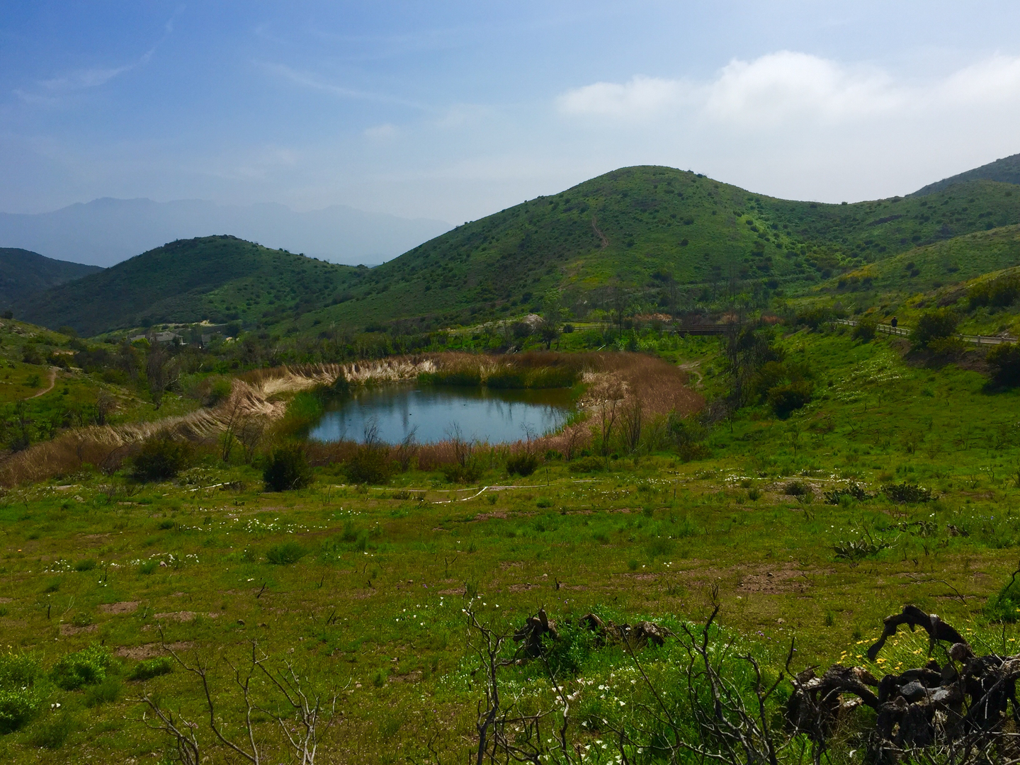 An image depicting the trail Park View Trail and Vista Del Mar Trail Loop and its surrounding area.
