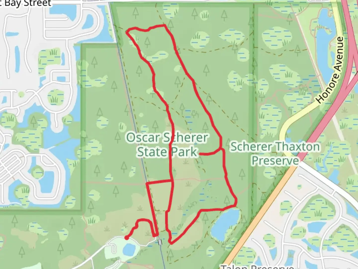 An image depicting the trail Oscar Scherer State Park Loop and its surrounding area.