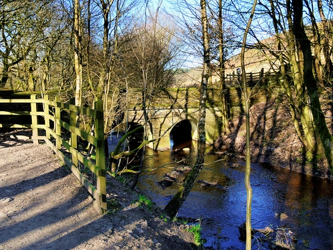 An image depicting the trail The Goit Streamside Walk and its surrounding area.