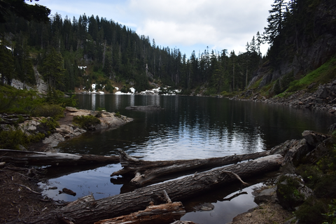 An image depicting the trail Denny Creek Trail and its surrounding area.