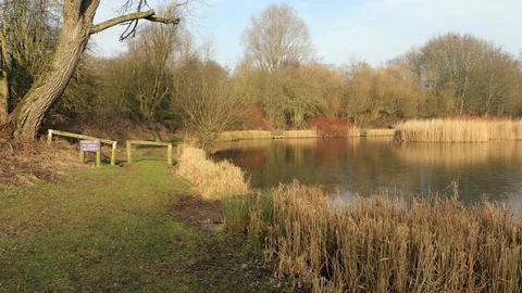 An image depicting the trail Tibshelf CIrcular Walk and its surrounding area.