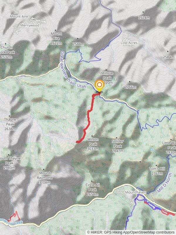 Gobblers Knob via Alexander Basin Trail