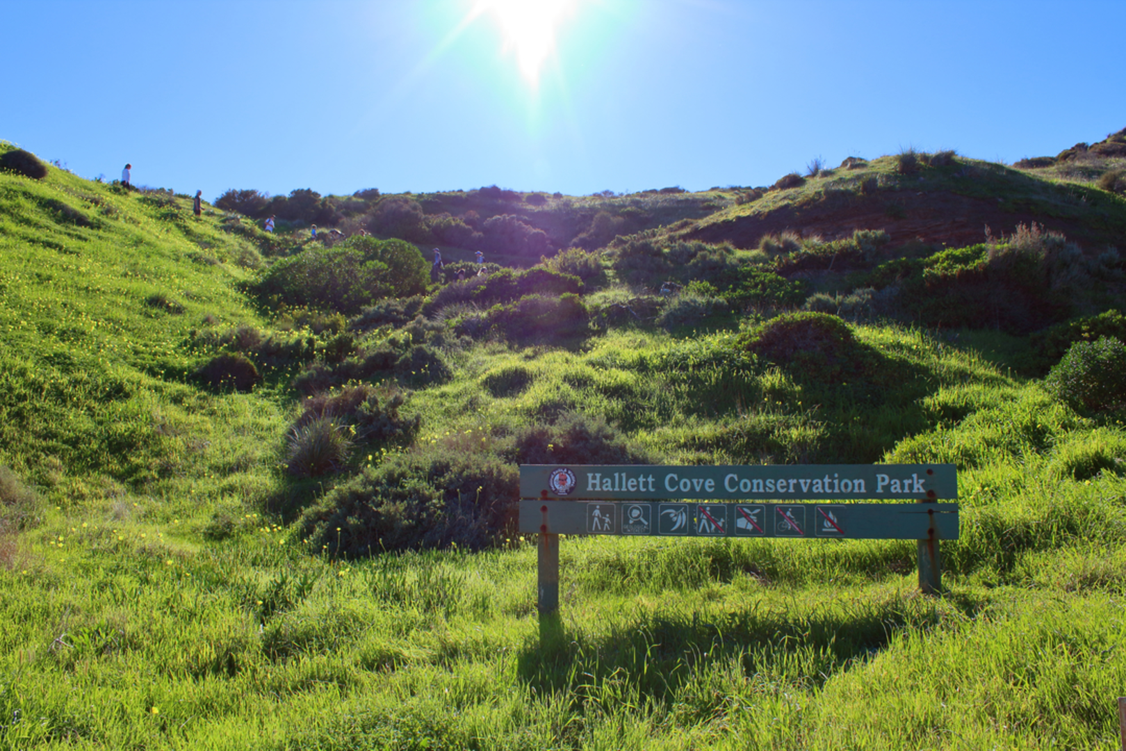 An image depicting the trail Glacial Hike - Hallett Cove Conservation Park and its surrounding area.