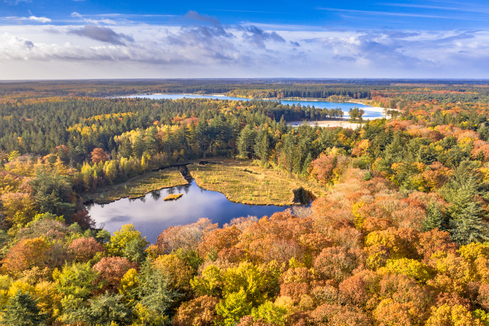 An image depicting the trail Boswachterij Gieten - Borger and Hemelrijk Loop and its surrounding area.