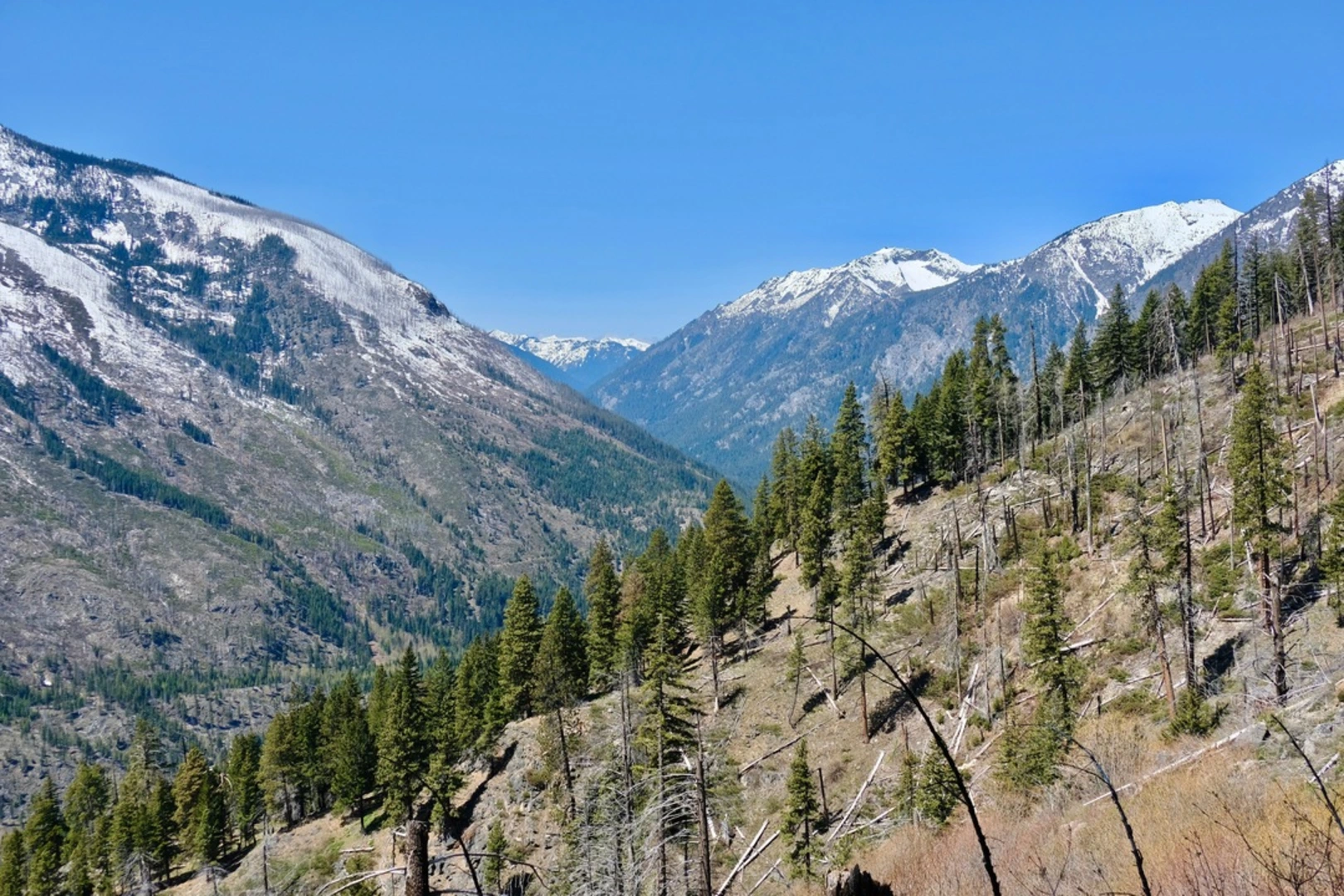 An image depicting the trail Index Creek via Chatter Creek Trail and its surrounding area.