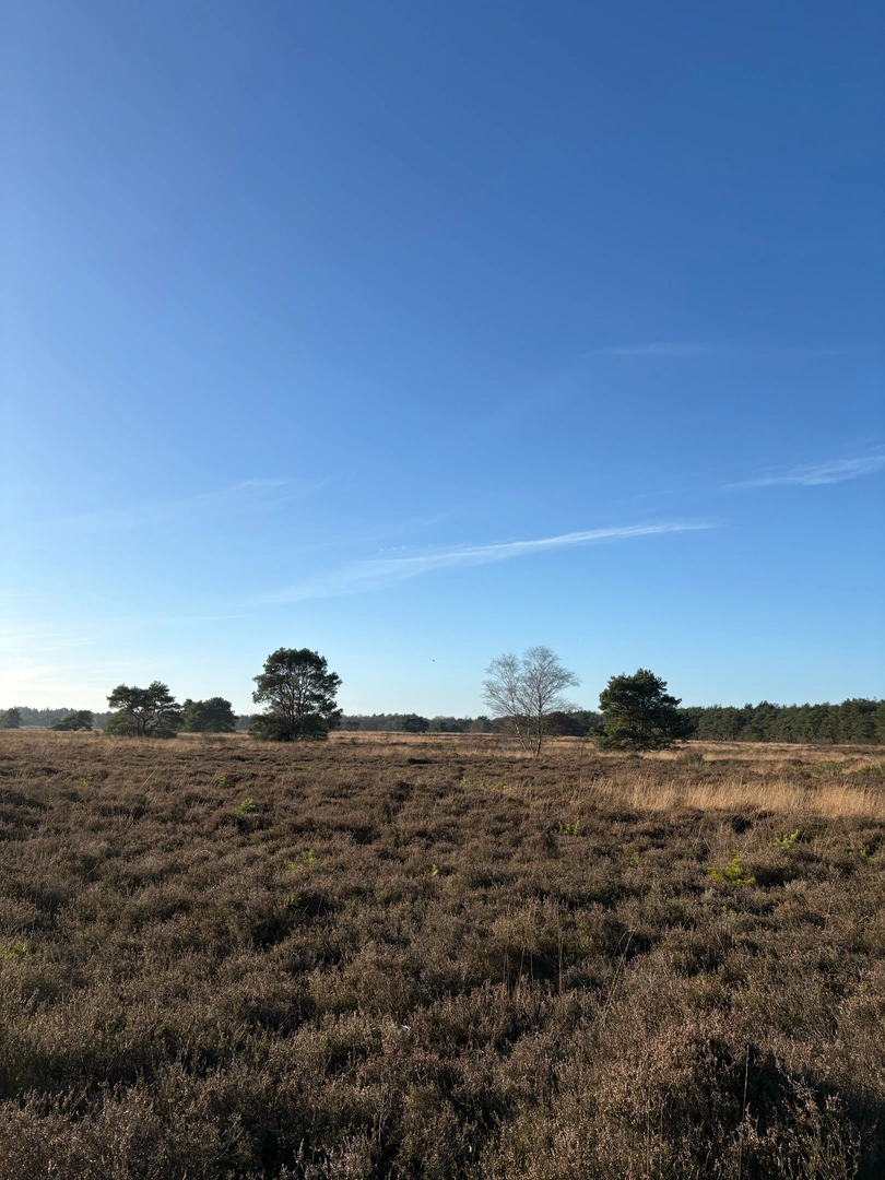 An image depicting the trail Holtingerveld and its surrounding area.