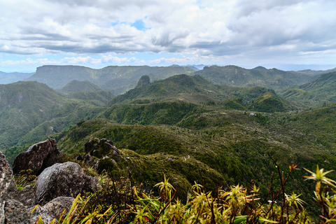 Kauaeranga Kauri Trail - Pinnacles Walk
