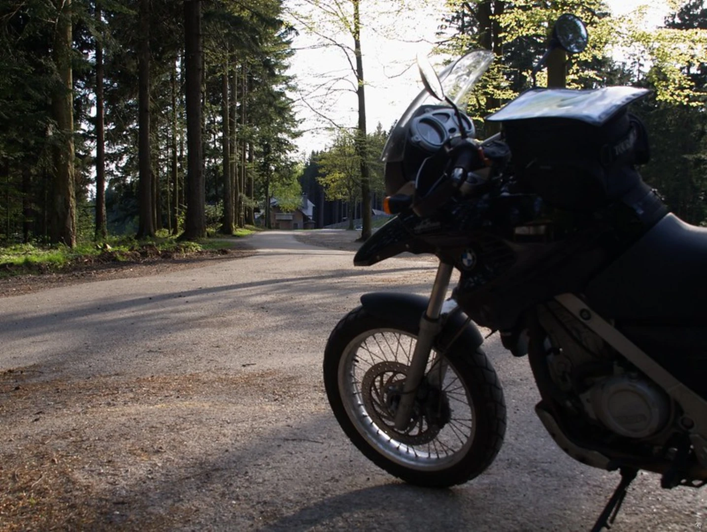 An image depicting the trail Buchkopfturm and Wilde Rench Loop and its surrounding area.
