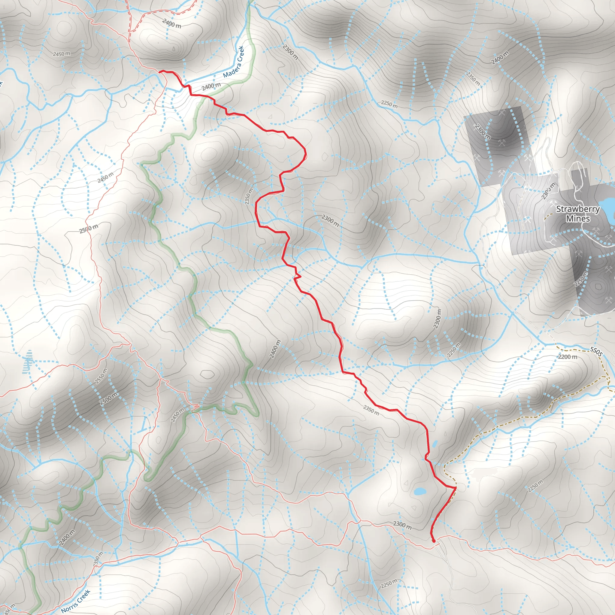 Walton Trail mobile static map
