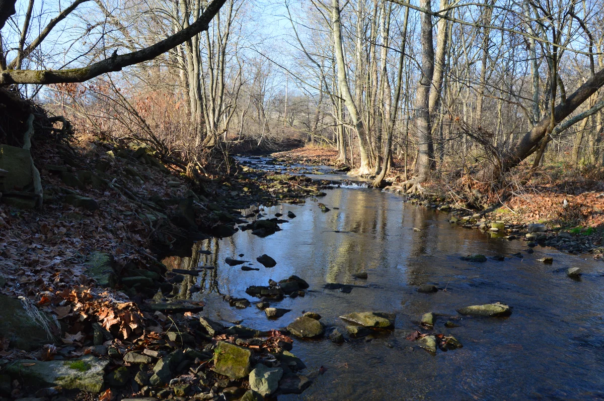 Norristown Farm Park Loop