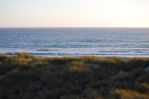 Salsipuedes-Pajaro way