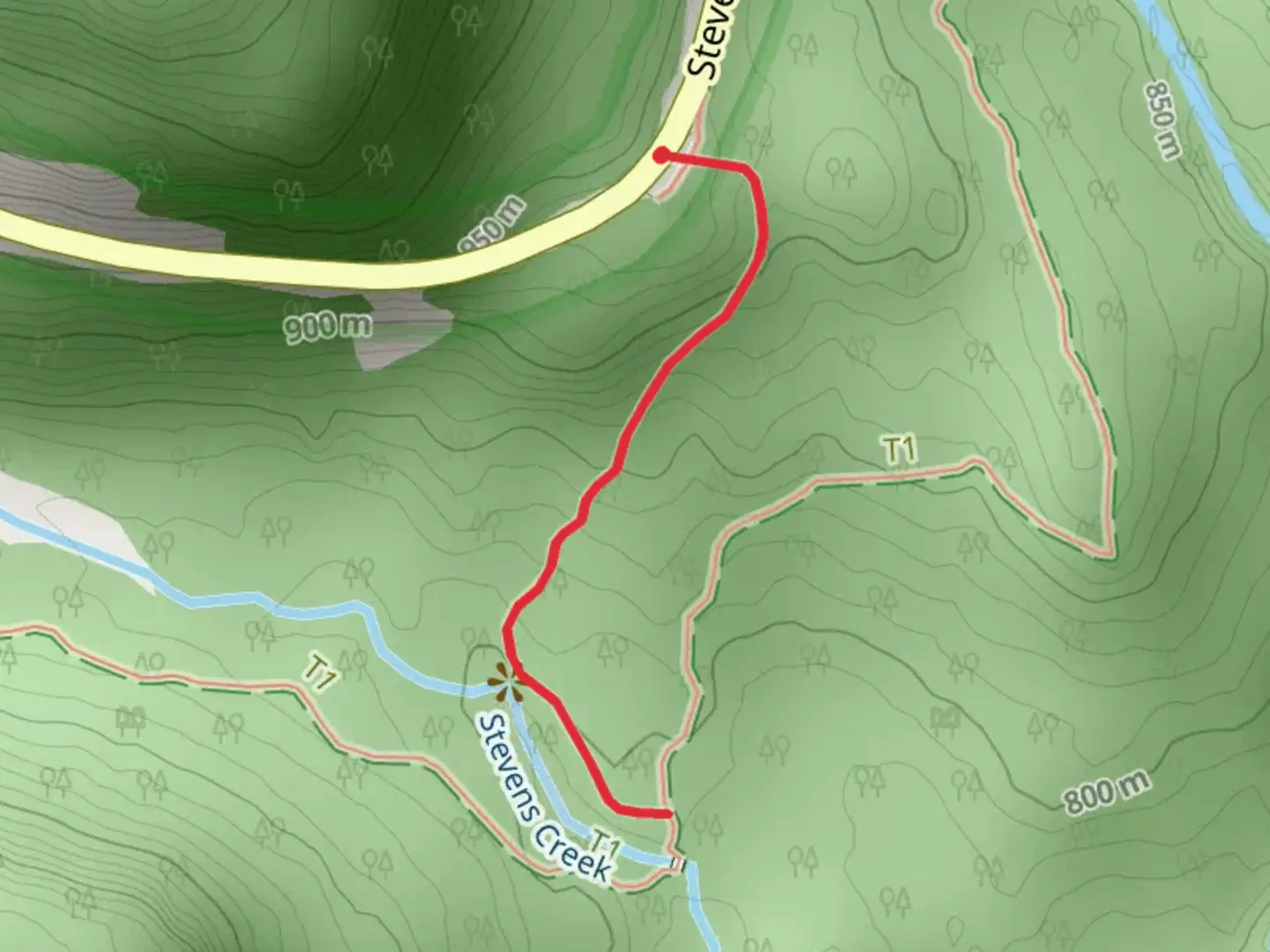 An image depicting the trail Stevens Creek Trail and its surrounding area.