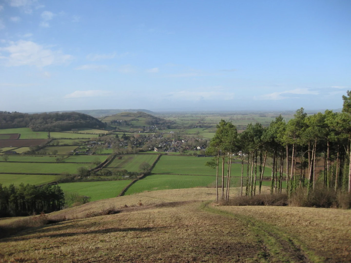 An image depicting the trail Great Breech Wood Loop and its surrounding area.