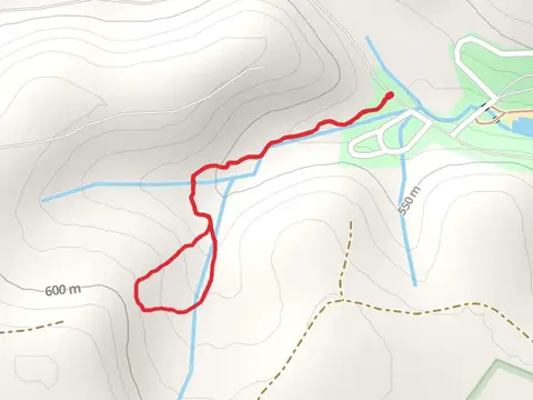 Black Cherry Upper Loop Trail