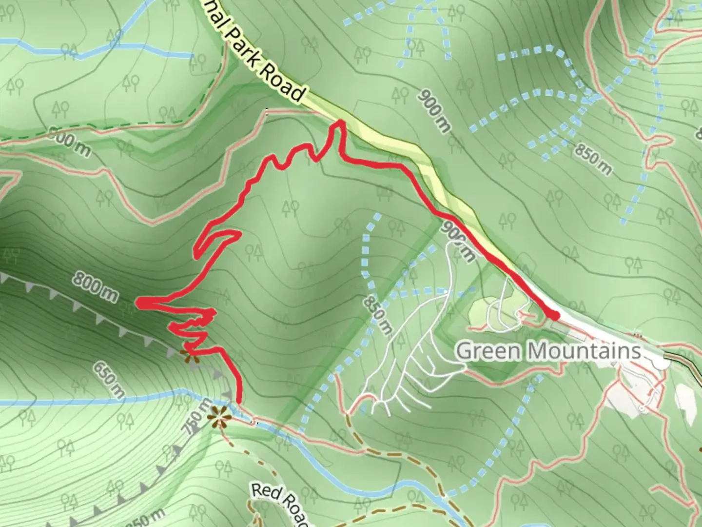 An image depicting the trail Morans Falls Track and its surrounding area.