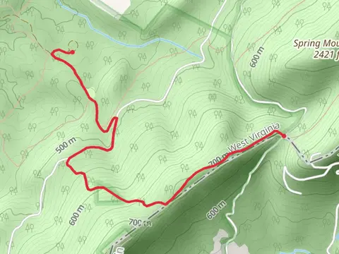 Hawk Campground via Tuscarora Trail