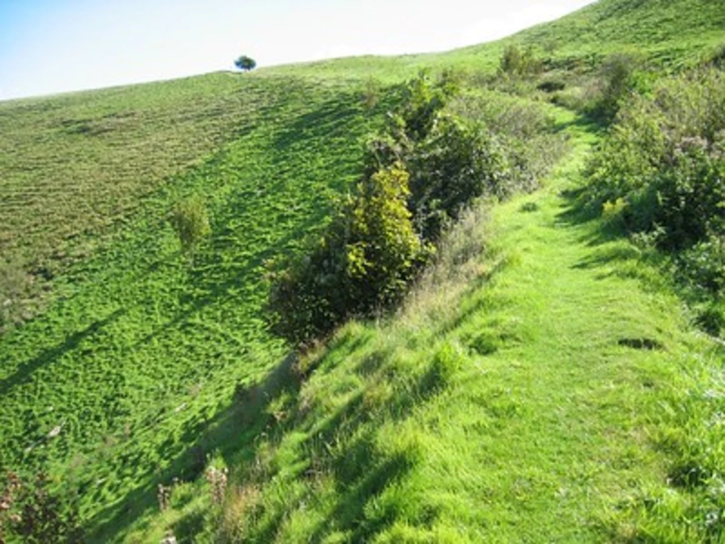 An image depicting the trail Southwick Hill Loop from Portslade and its surrounding area.
