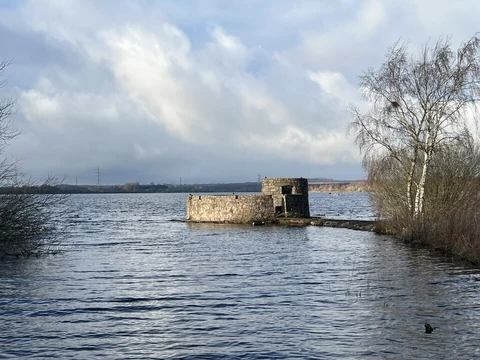 An image depicting the trail Chasewater Country Park Loop and its surrounding area.