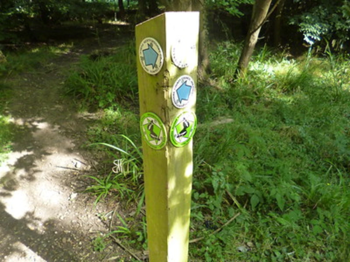 An image depicting the trail Wormley Woods and Stocking Wood Loop and its surrounding area.