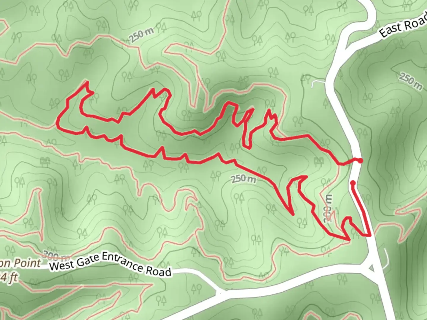 An image depicting the trail Bobcat Loop and its surrounding area.