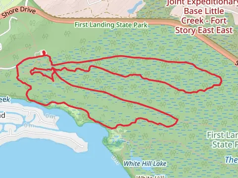Osmanthus Trail,Osmanthus Trail and Cape Henry Trail Loop