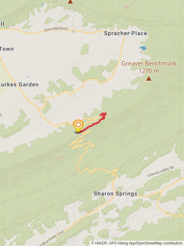 Davis Path Side Trail via Appalachian Trail mobile static map