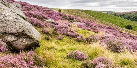 An image depicting the trail Egton Bridge and Grosmont from Goathland and its surrounding area.