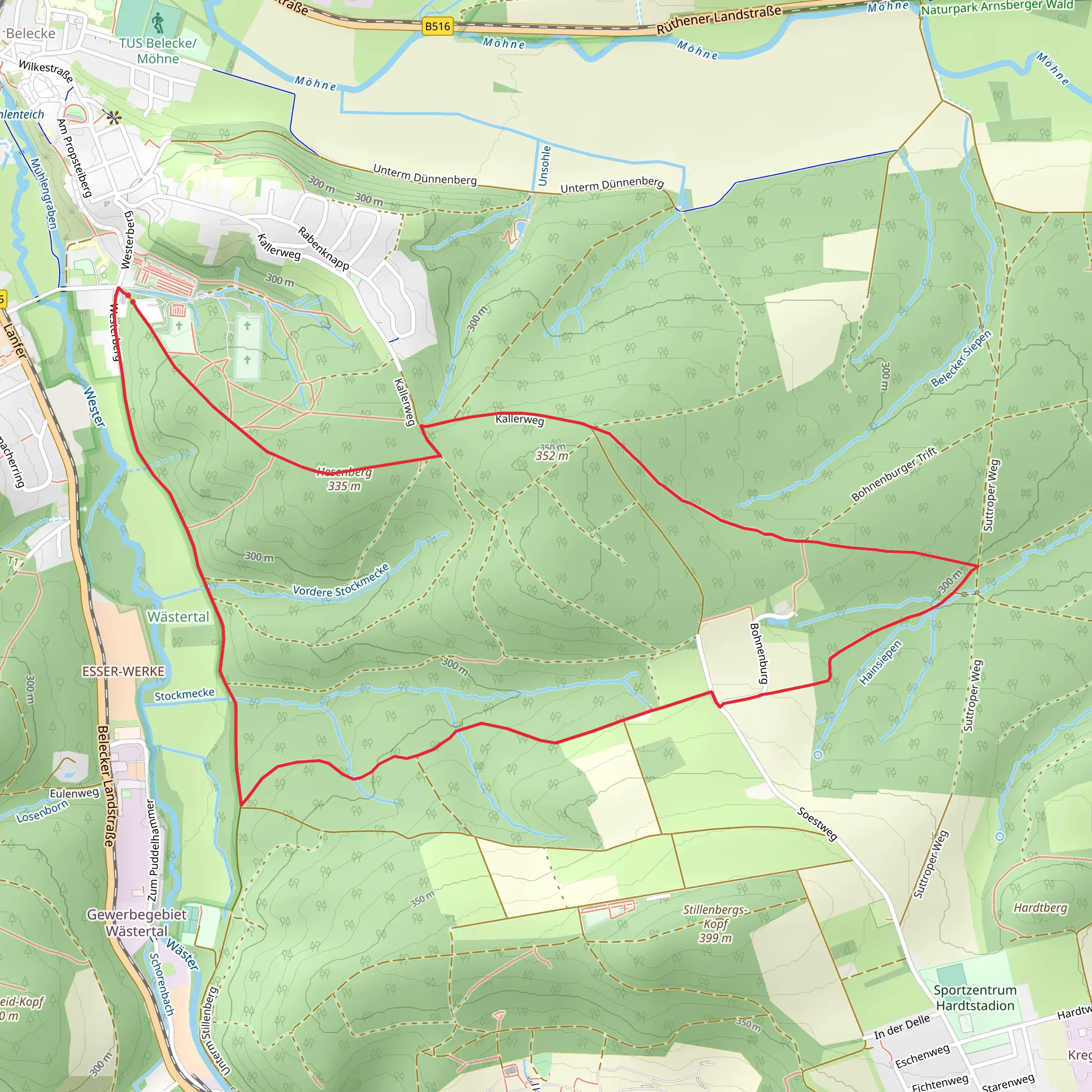 Belecke Loop mobile static map