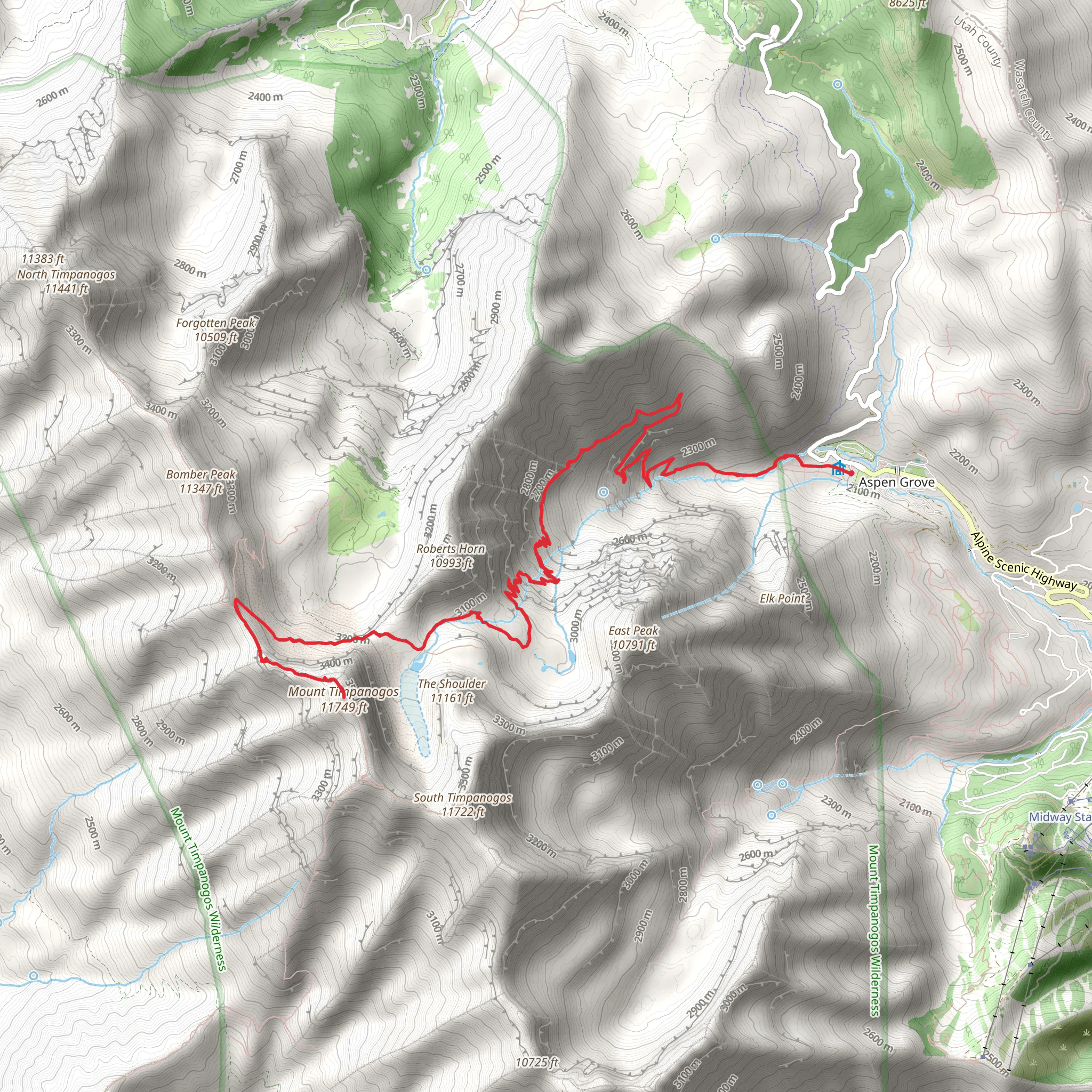 Mount Timpanogos via Timpanogos Summit Trail mobile static map