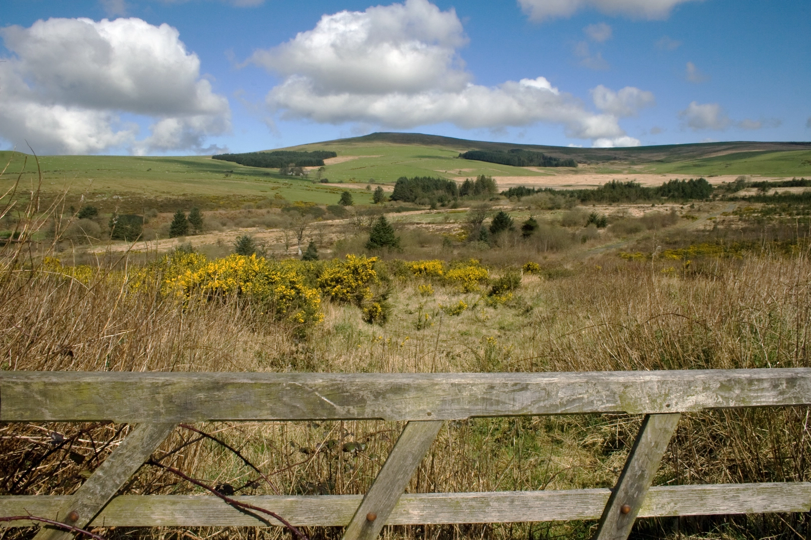 An image depicting the trail Foel Cwmcerwyn from Rosebush - Preseli Hills and its surrounding area.
