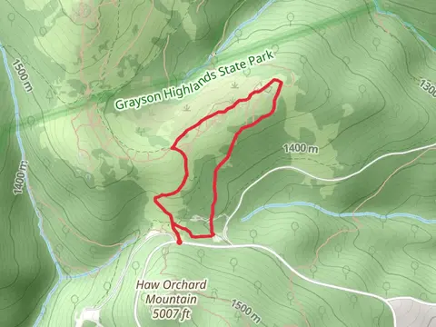 Rhododendron and Massie Gap Loop Trail
