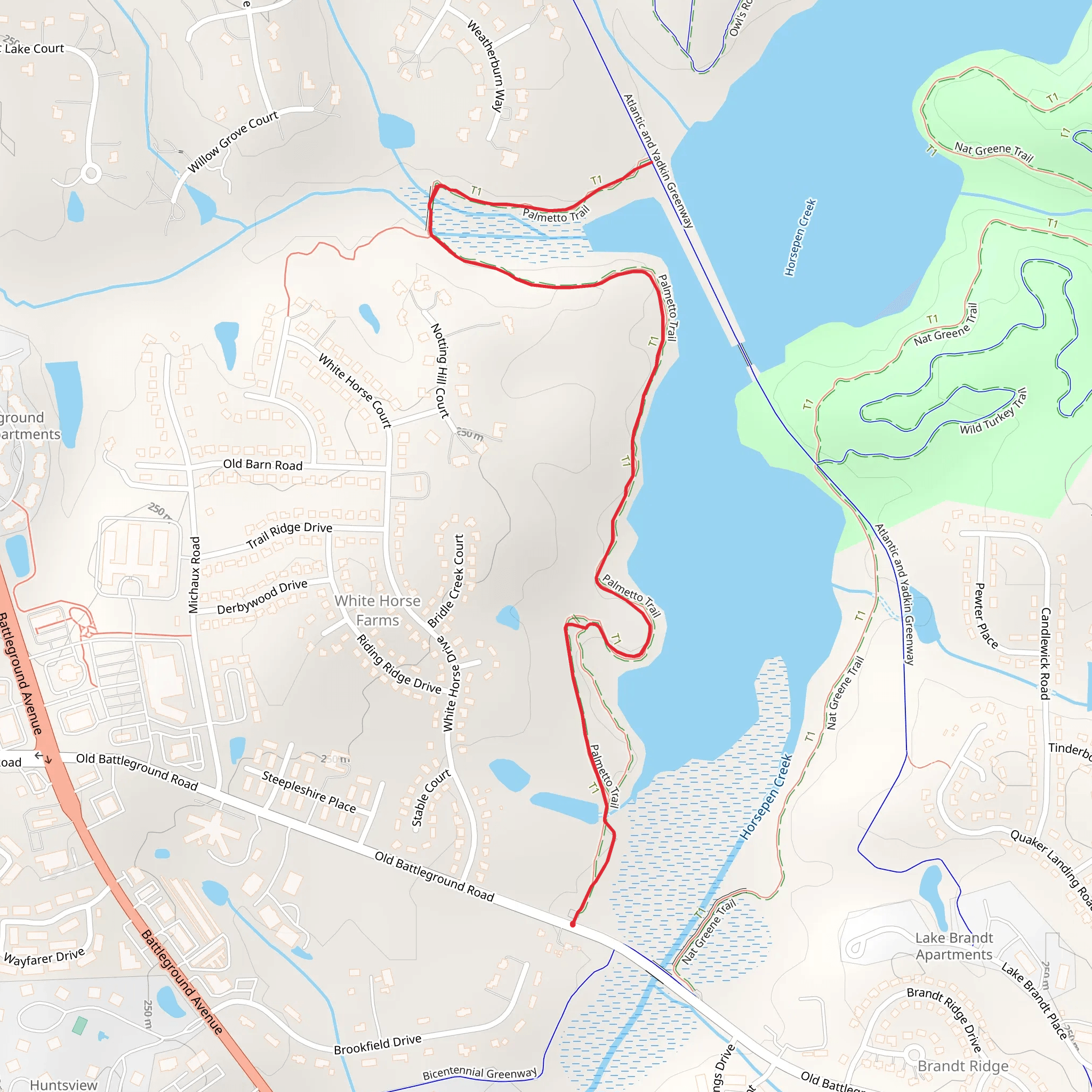Palmetto Trail - Lake Brandt mobile static map