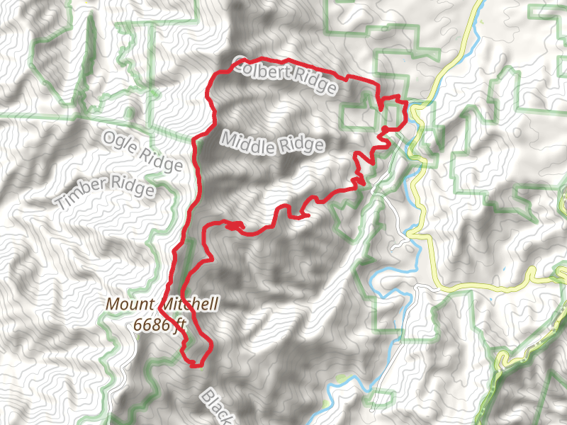 Buncombe, Maple Camp Bald, Big Tom and Colbert Ridge Loop Trail