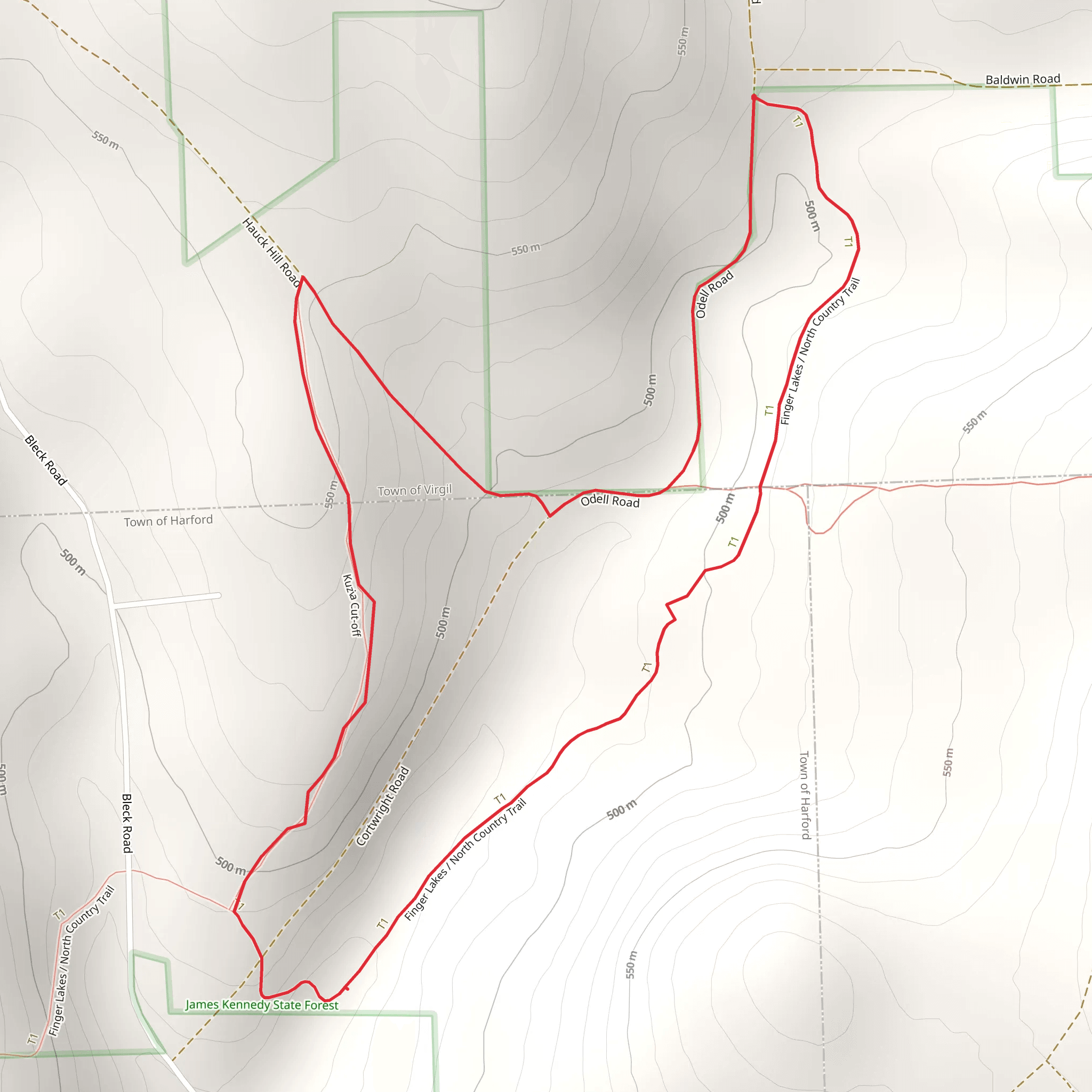 Odell Road South Loop mobile static map