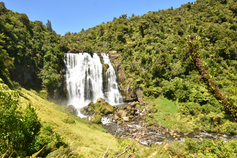 Tawarau Falls Loop Track