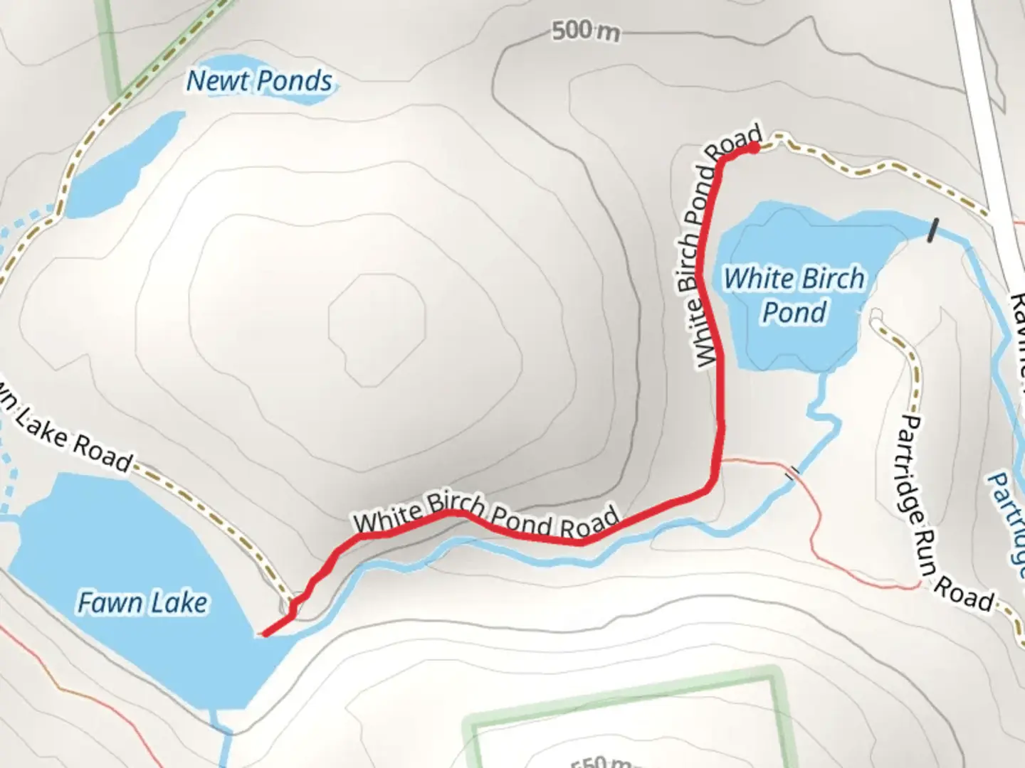 An image depicting the trail Fawn Lake via White Birch Pond and its surrounding area.