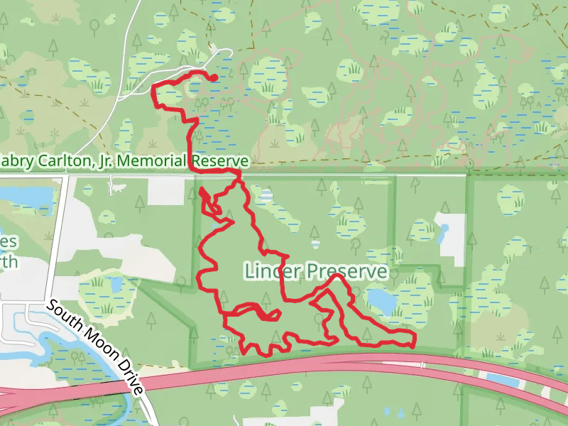 South of the Border Loop