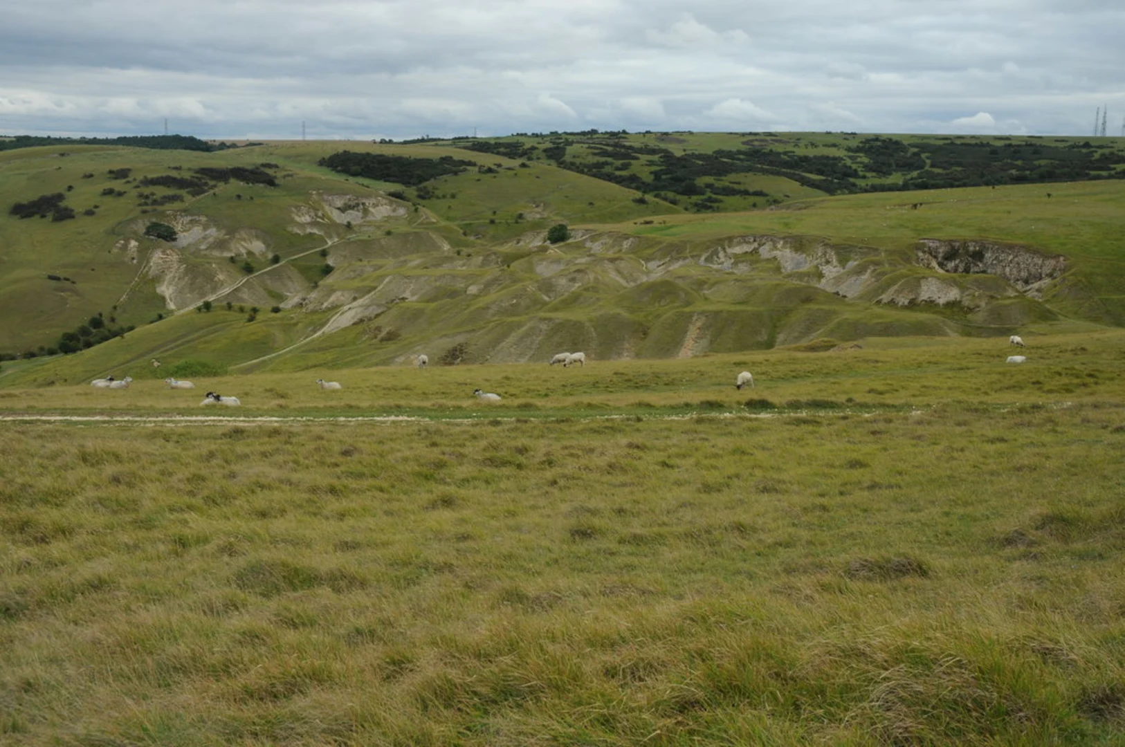 An image depicting the trail Cleeve Hill and Common and its surrounding area.