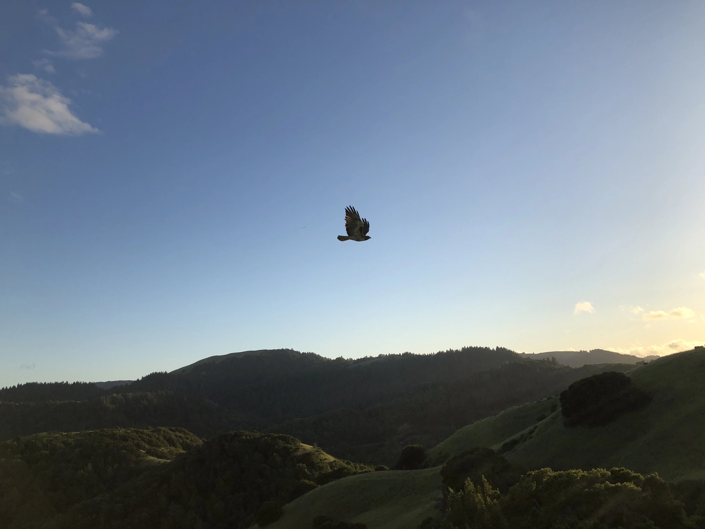 An image depicting the trail Loma Alta via Bay Area Ridge Trail Point to Point and its surrounding area.