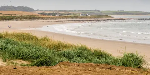 An image depicting the trail Rosslare Harbour Clifftop Walk and its surrounding area.