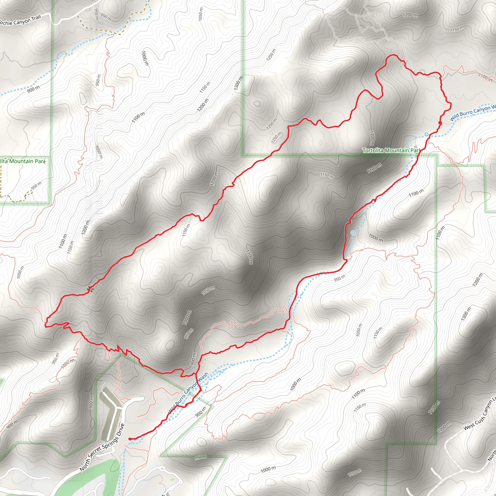 Wild Burro and Wild Mustang Loop Trail mobile static map