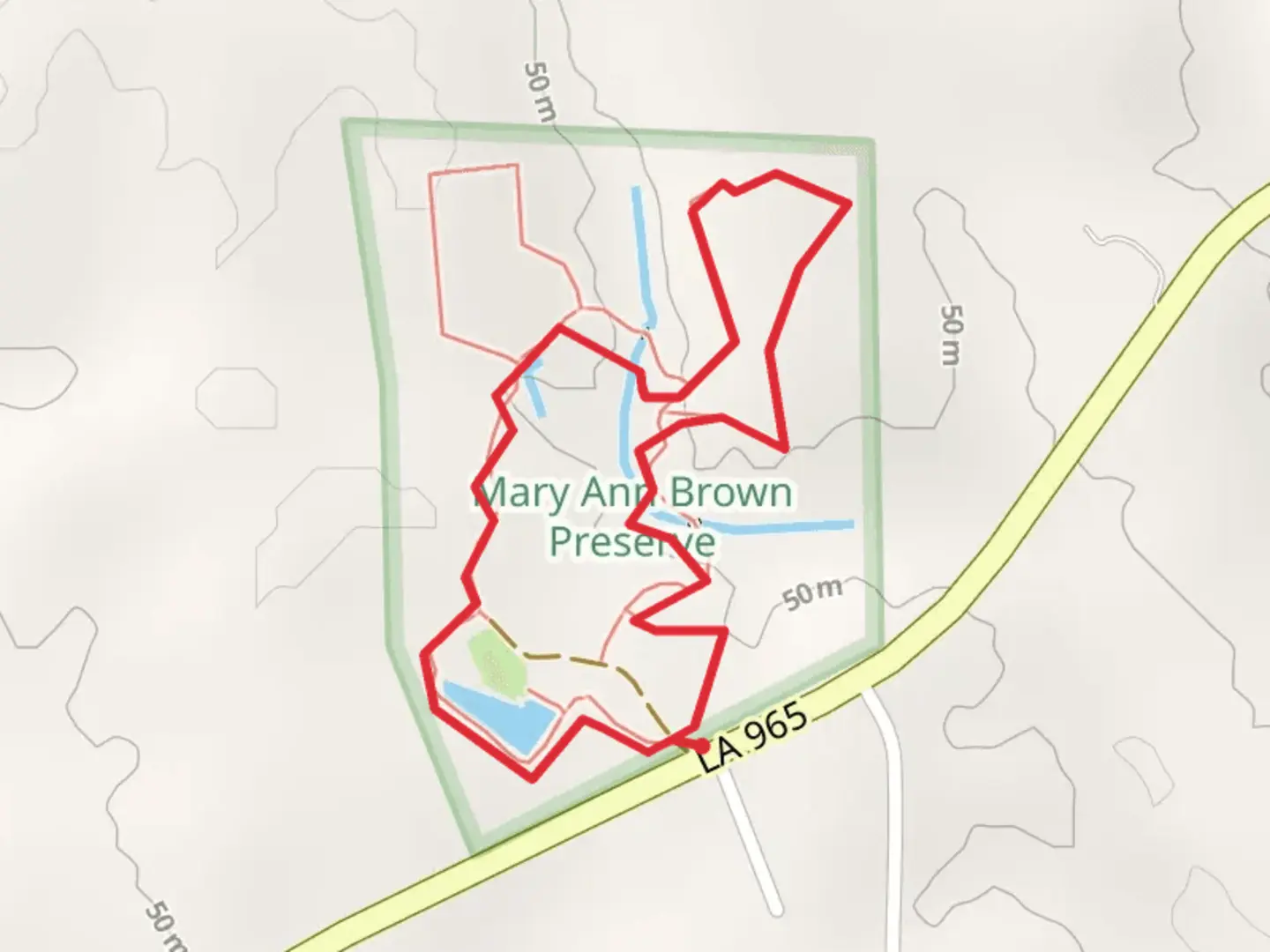 An image depicting the trail American Beech Loop and Main Trail and its surrounding area.