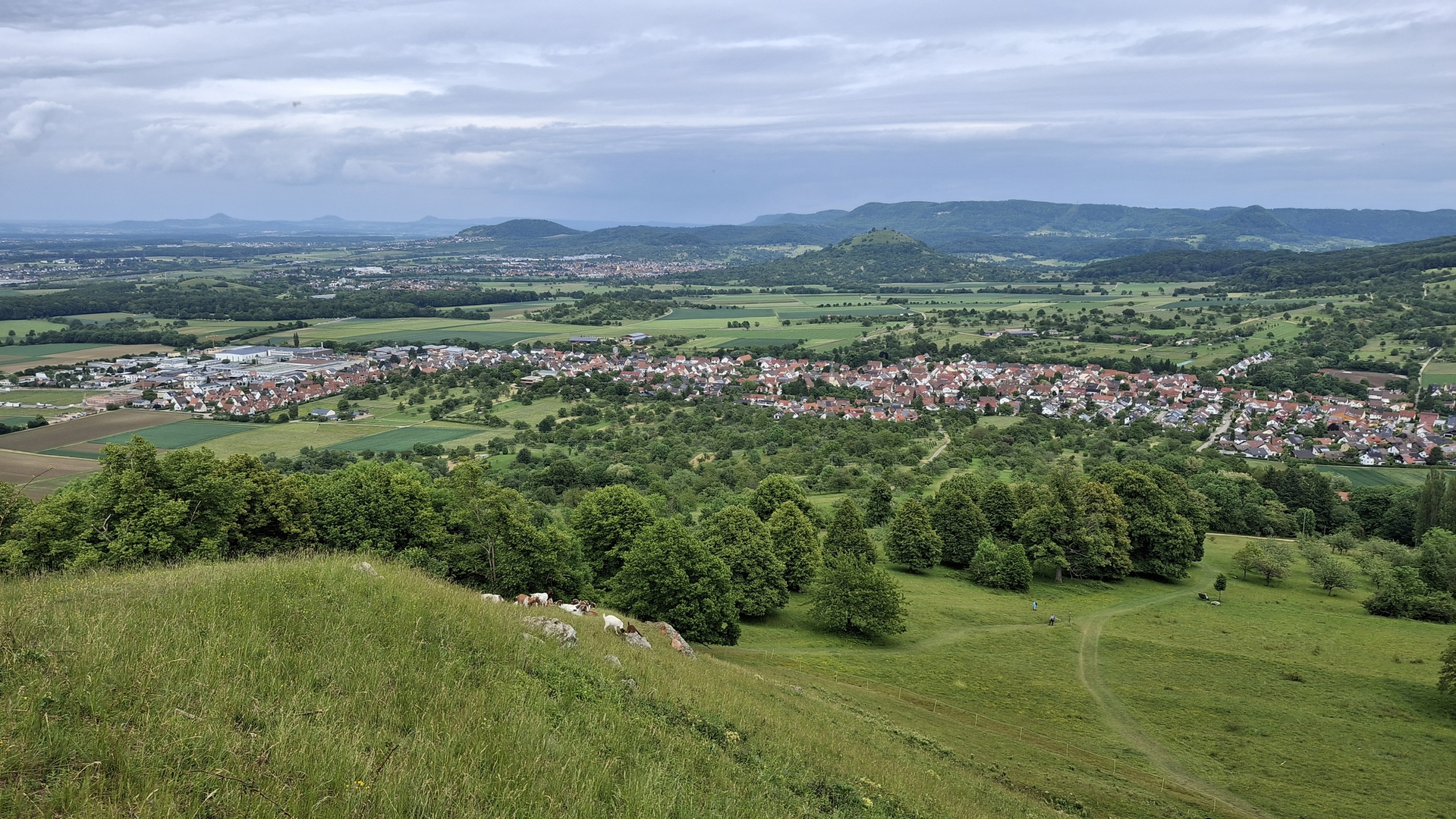 An image depicting the trail Schneckenbuehl and Ungeheuerhof Loop and its surrounding area.